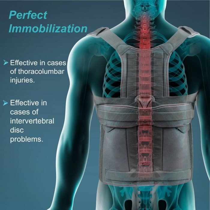 Tynor Taylor Brace Short & Long Type